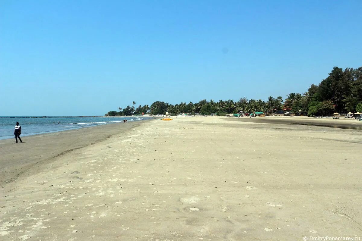 Пляж морджим фото Morjim Beach - лучший пляж Северного Гоа - DmitryPonomarev