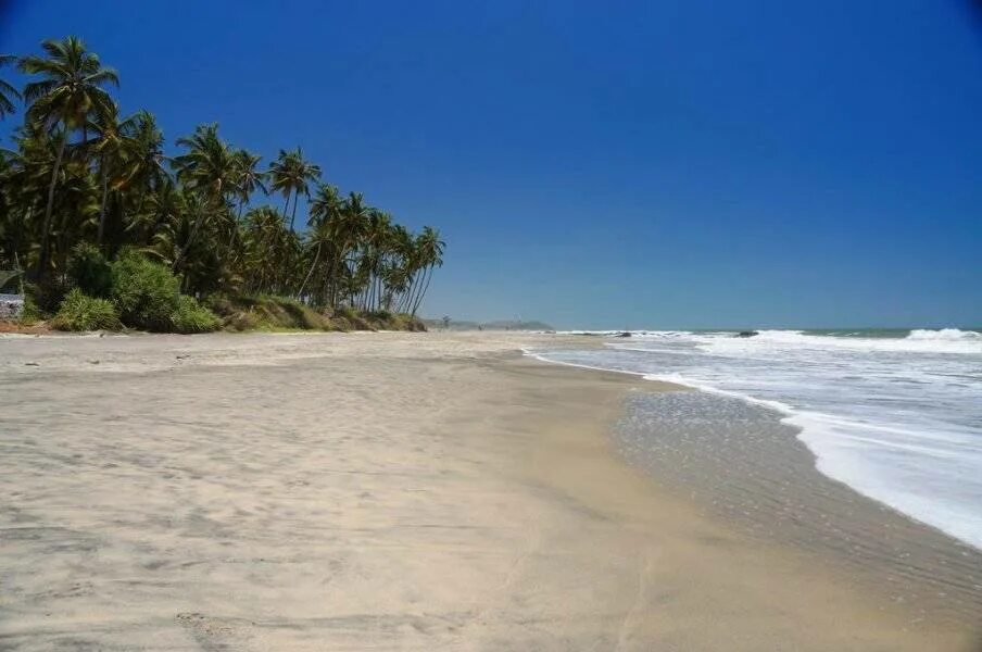 Пляж морджим фото Отель Leela Cottages Ashvem (Индия, Гоа) - цены, отзывы 2024, фото - купить тур 