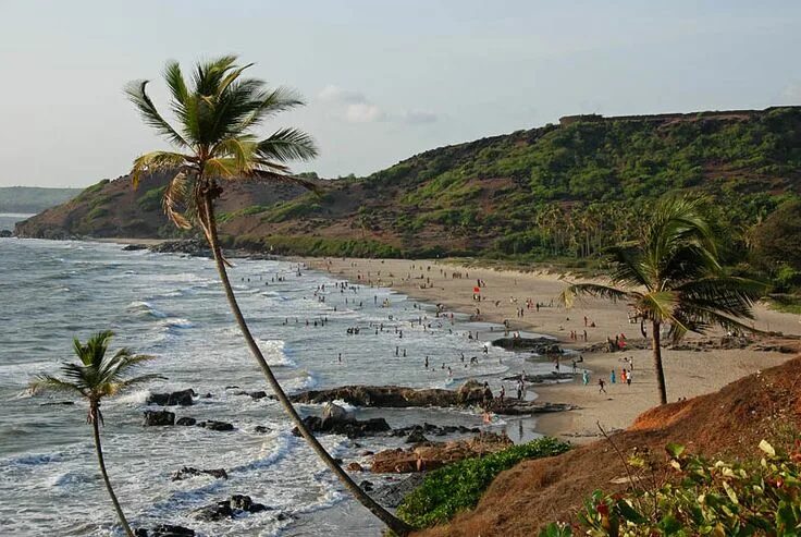 Пляж морджим гоа фото Morjim beach. #Morjim is a village in #Pernem, #Goa, situated on the northern ba