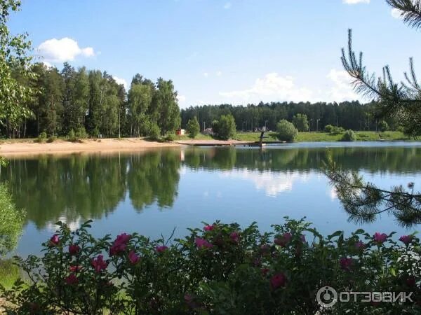 Пляж московская область черноголовка фото Отзыв о Озеро Южное (Россия, Черноголовка) Центр притяжения.