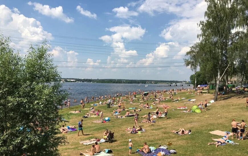 Пляж московская область долгопрудный фото In Dolgoprudny on the beach during a quarrel, a man was pierced with a skewer He