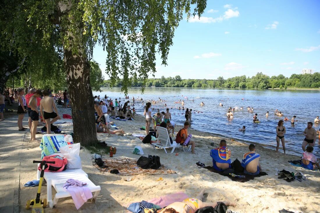 Пляж московская область долгопрудный фото В Долгопрудный пришла аномально жаркая погода - Официальный сайт администрации г