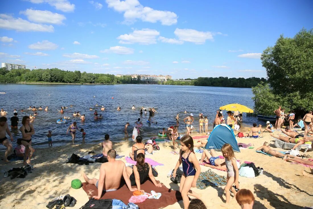 Пляж московская область долгопрудный фото Долгопрудненцам напомнили правила безопасного пляжного отдыха - Официальный сайт