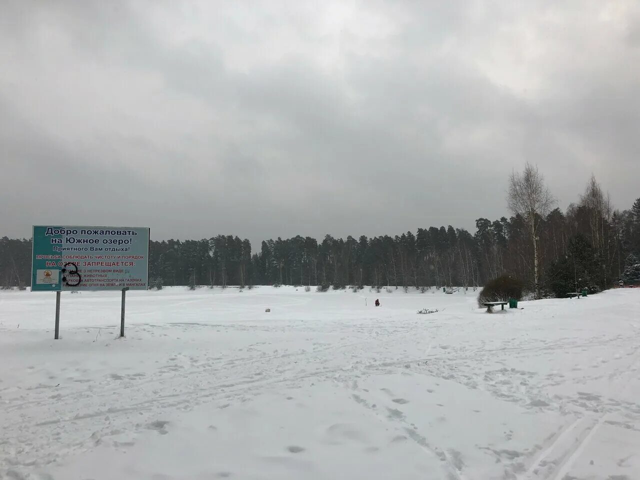 Пляж московская область городской округ черноголовка фото Пляж, пляж, Россия, Московская область, городской округ Черноголовка - Яндекс.Ка