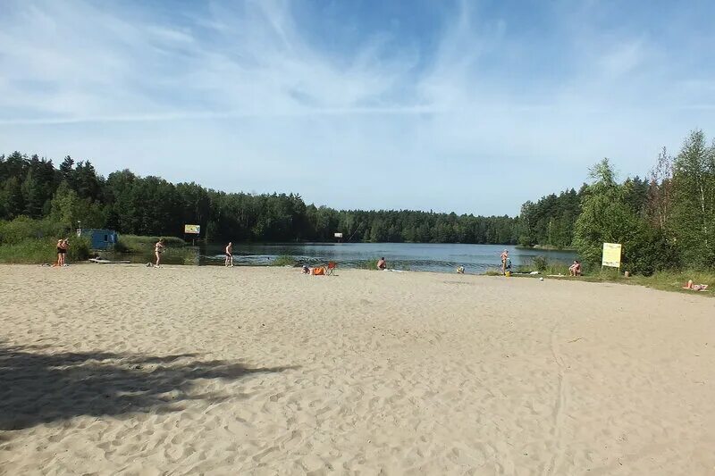 Пляж московская область городской округ черноголовка фото Черноголовка. Северное озеро: capi4ca - ЖЖ