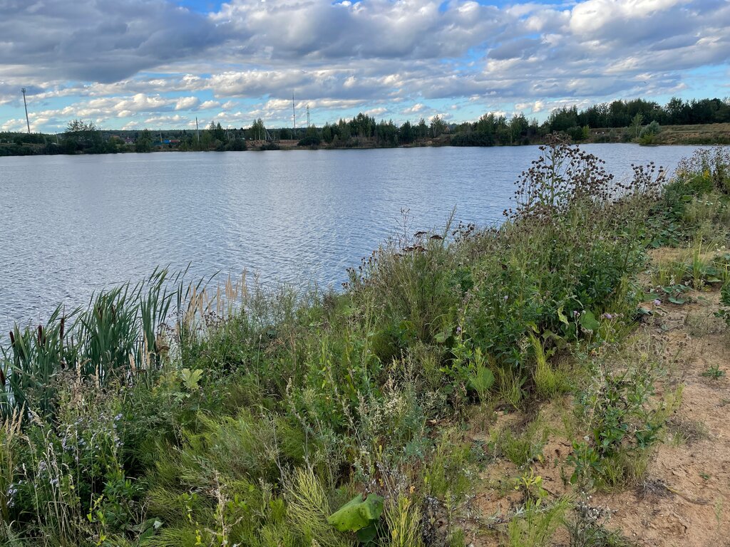 Пляж московская область городской округ котельники фото Пляж, пляж, коттеджный посёлок Спас-Каменка, 12 - Яндекс Карты