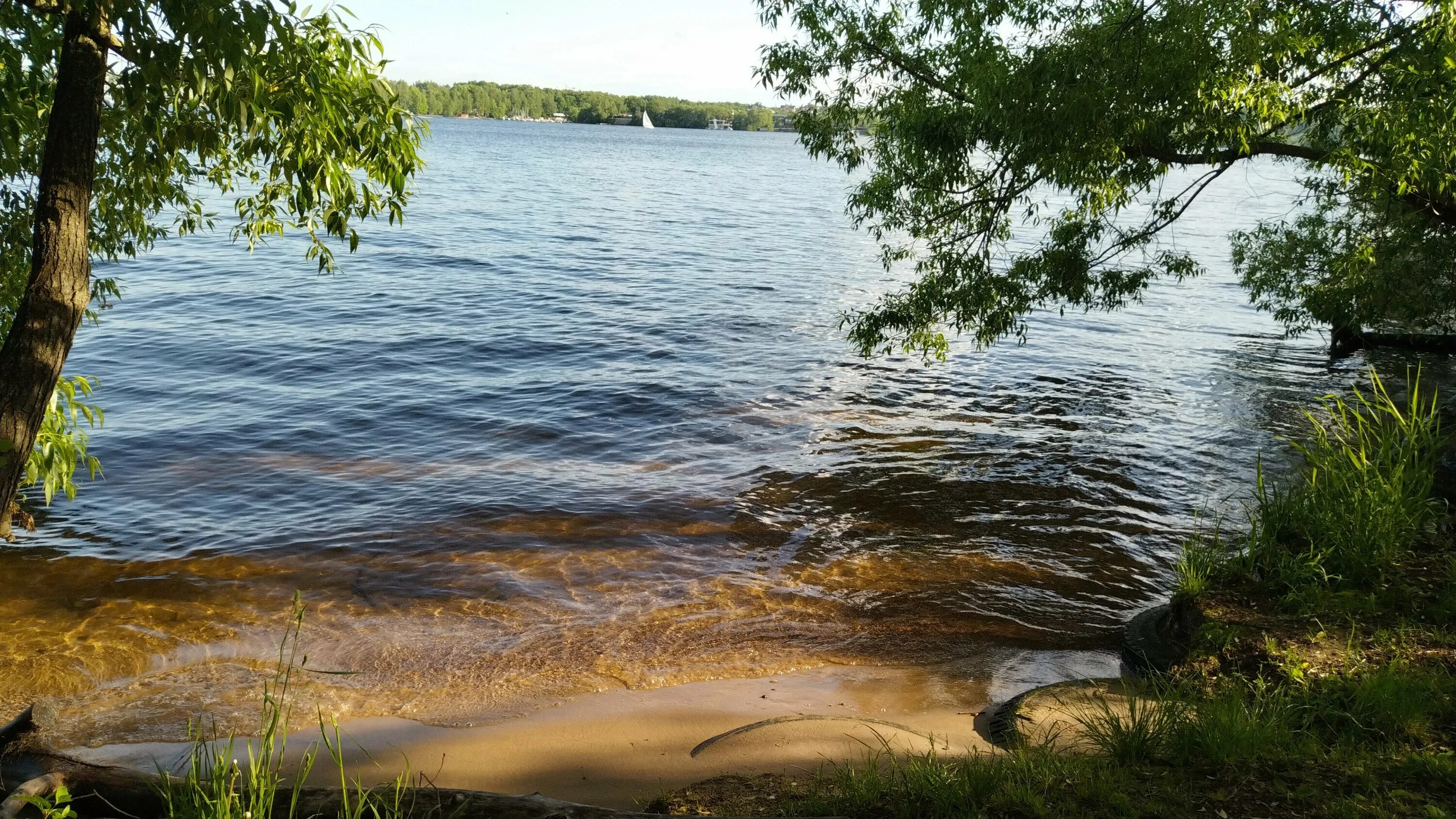 Пляж московская область городской округ мытищи фото Photo: Пляж Сорокинский пляж, beach, Moscow Region, Mytishi Urban District, dere