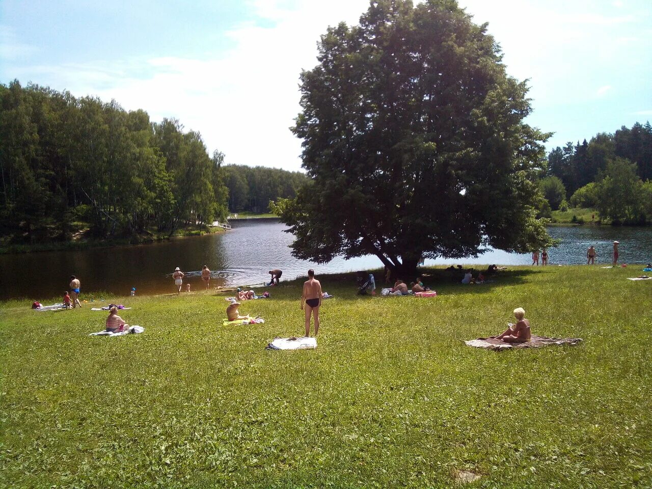 Пляж московская область городской округ мытищи фото Пляж, beach, Russia, Moscow Region, gorodskoy okrug Mytishchi - Yandex.Maps