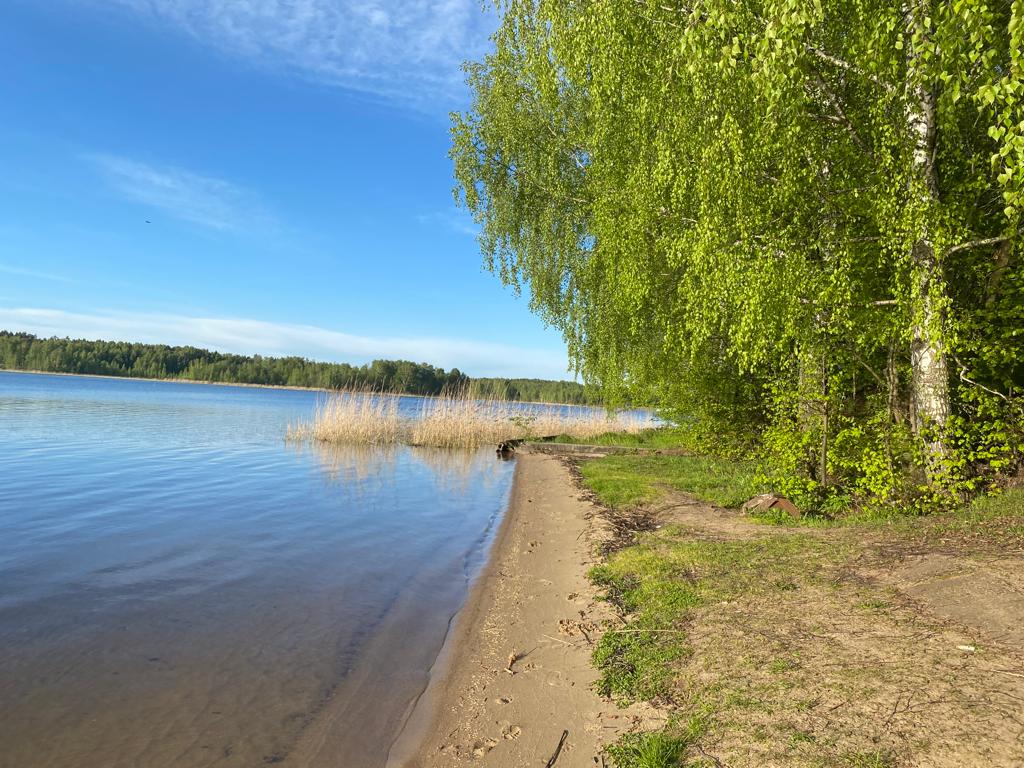 Пляж московская область городской округ мытищи фото Фото: Пляж, пляж, Московская область, городской округ Мытищи - Яндекс Карты