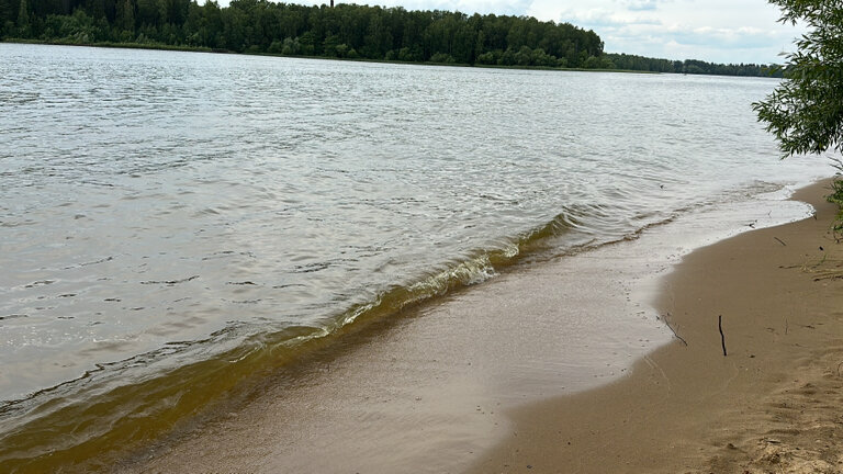 Пляж московская область истра фото Beach, beach, Moscow Region, Istrinskoye Reservoir - Yandex Maps