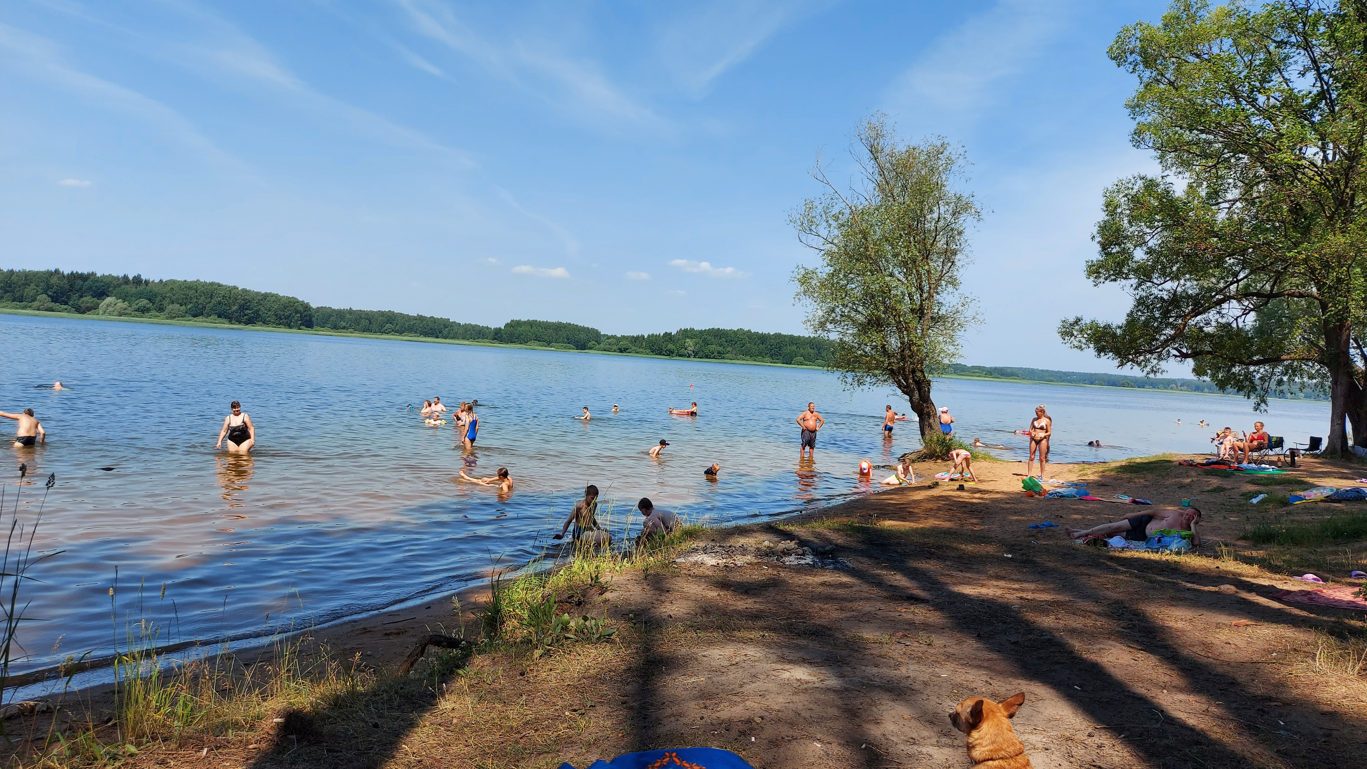 Пляж московская область истра фото Отзывы о "Пляж", Московская область, городской округ Солнечногорск, территориаль