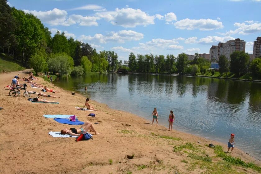 Пляж московская область красногорск фото Новости / Администрация городского округа Красногорск Московской области
