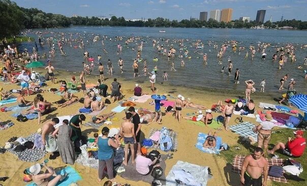 Пляж московская область подольск фото Так выглядят пляжи Москвы и Подмосковья сейчас. Это же ужас какой-то. Вот это.. 