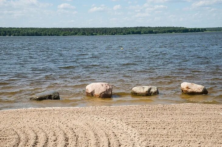 Пляж московская область шатура фото Лучшие места для рыблаки в Москве и Подмосковье бесплатно в 2024 - топ лучших ме