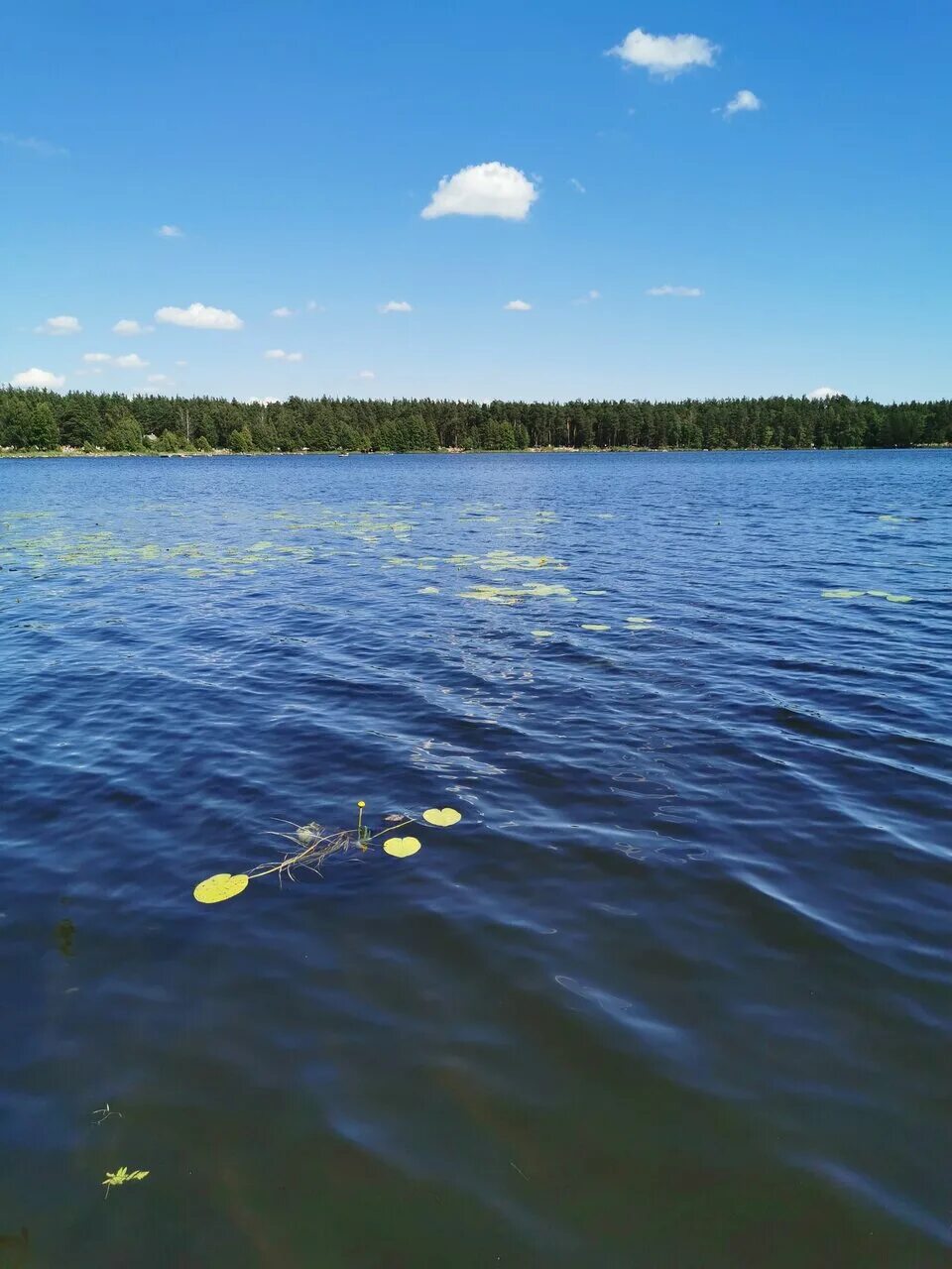 Пляж московская область шатура фото Пляж, beach, Russia, Moscow Region, gorodskoy okrug Shatura - Yandex Maps