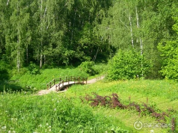 Пляж москва ландшафтный заказник теплый стан фото Отзыв о Ландшафтный заказник "Теплый стан" (Россия, Москва) Курортная зона на юг