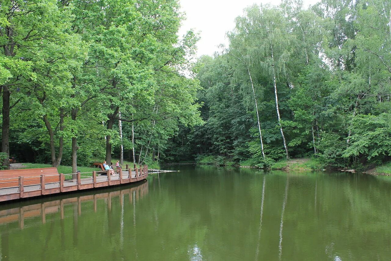 Пляж москва ландшафтный заказник теплый стан фото Файл:Pond in Ochakovka river head area.JPG - Википедия