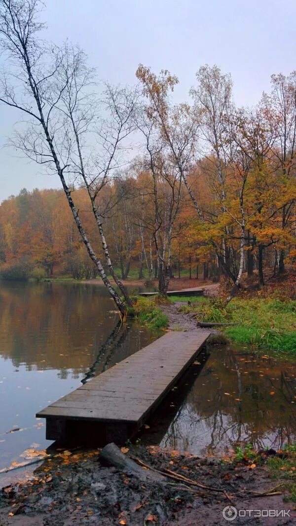 Пляж москва ландшафтный заказник теплый стан фото Отзыв о Ландшафтный заказник "Теплый стан" (Россия, Москва) Прекрасный, ухоженны