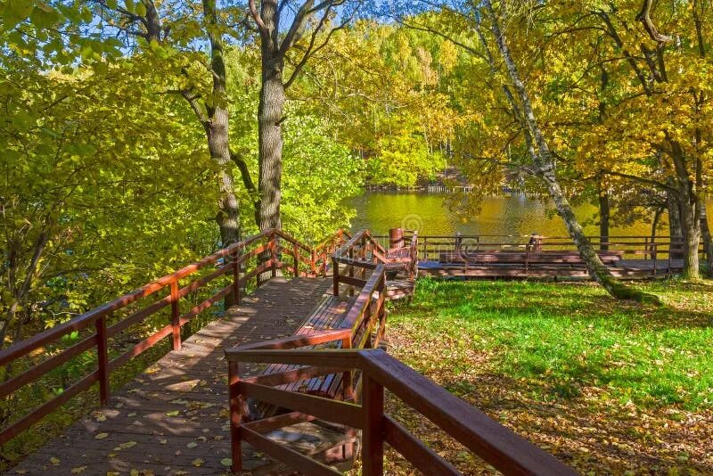 Пляж москва ландшафтный заказник теплый стан фото Golden Autumn in the Forest Park Stock Image - Image of autumn, october: 1538682