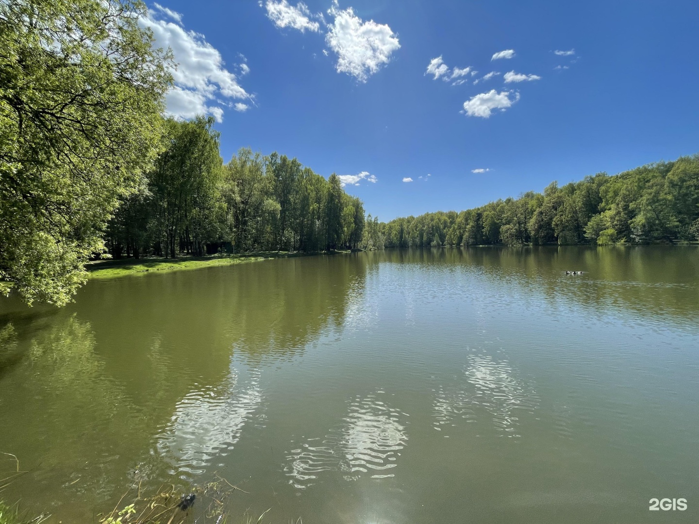 Пляж москва природно исторический парк косинский фото Izmailovo and Kosinsky, Natural Historical Park Moscow, Izmailovsky Avenue, 56 -