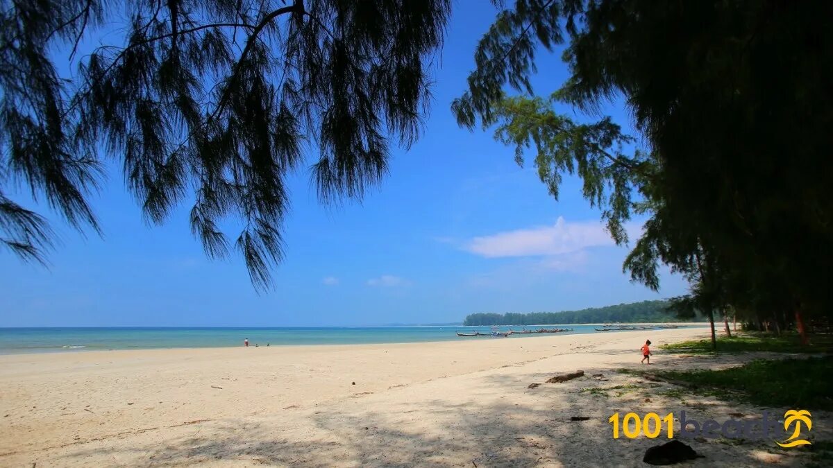 Пляж най янг фото Пляж Най-Янг (Nai Yang beach)