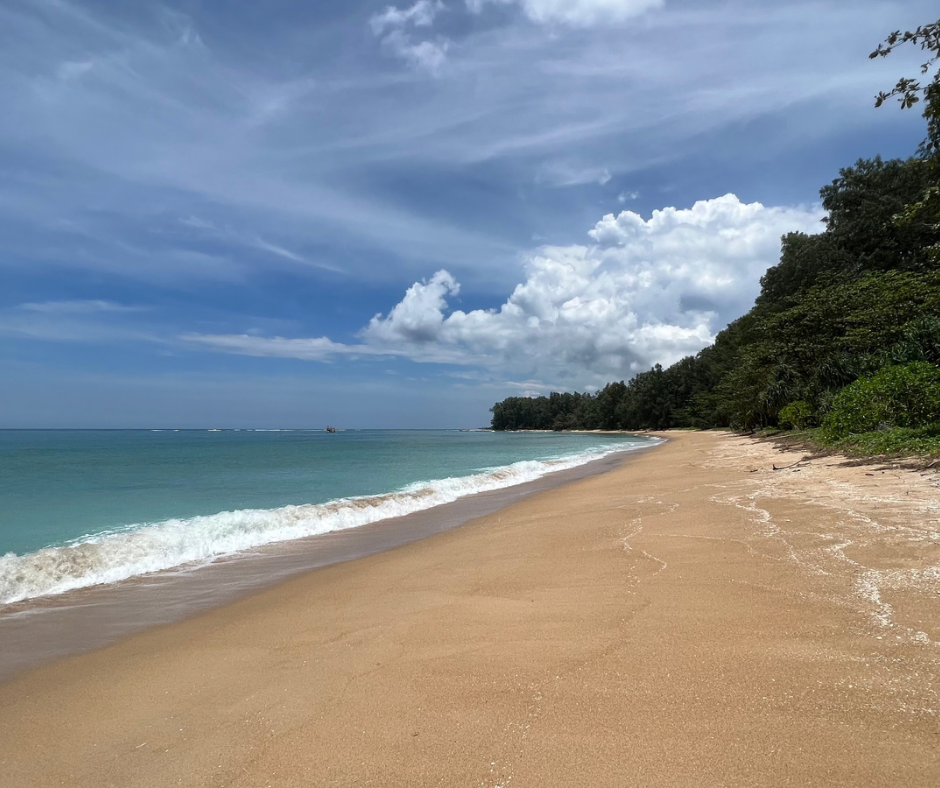 Пляж най янг фото Пляж Най Янг - Phuket Plus