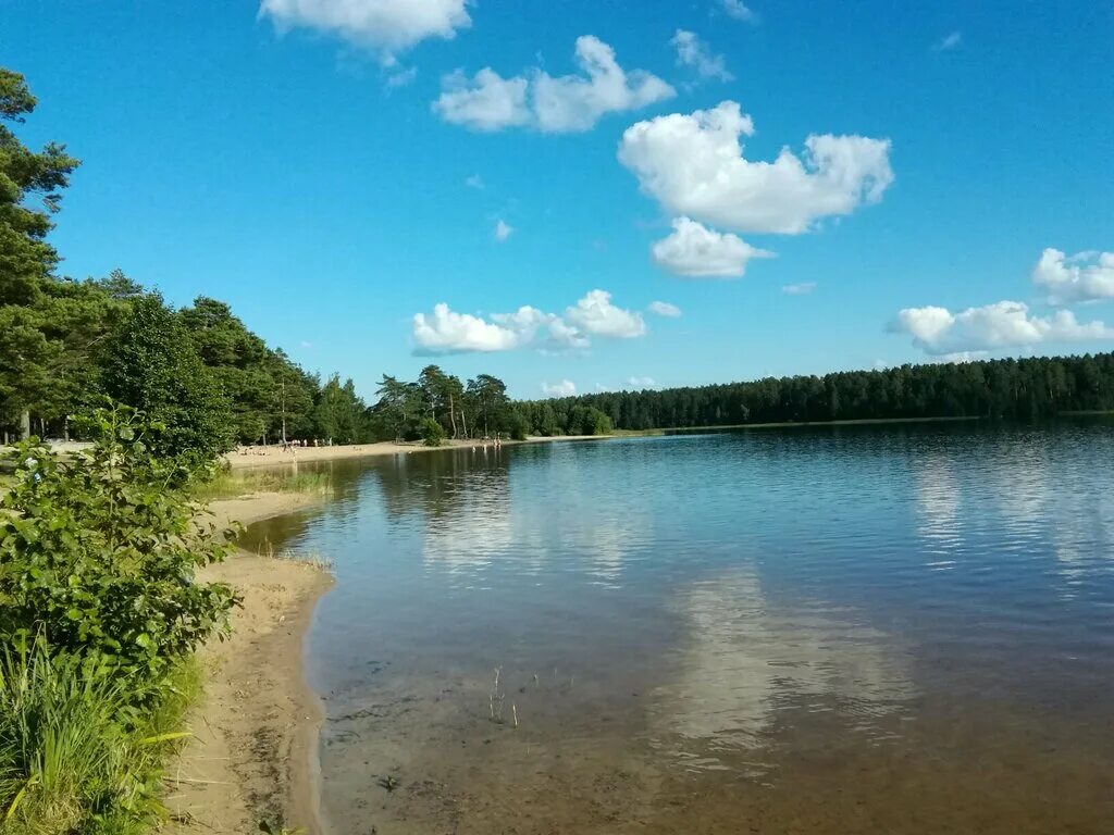 Пляж нижегородская область выкса фото Пляж Белый песочек, пляж, Нижегородская область, городской округ Выкса, сельский