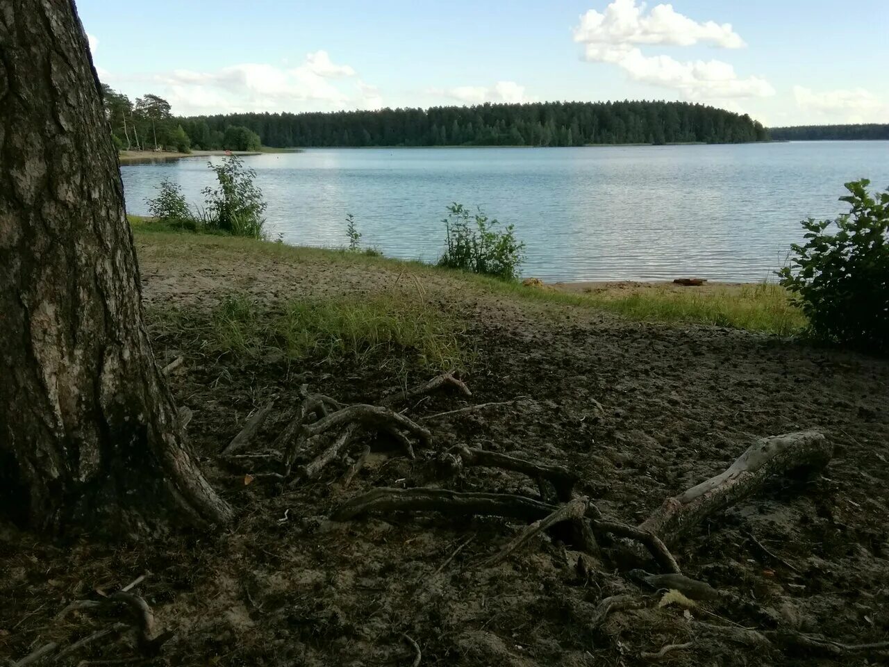 Пляж нижегородская область выкса фото Photo: Пляж Белый песочек, beach, Nizhniy Novgorod Region, gorodskoy okrug Vyksa