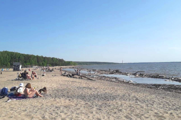 Пляж новосибирск советский район фото Центральный пляж Академгородка вновь официально закрыт VN.RU