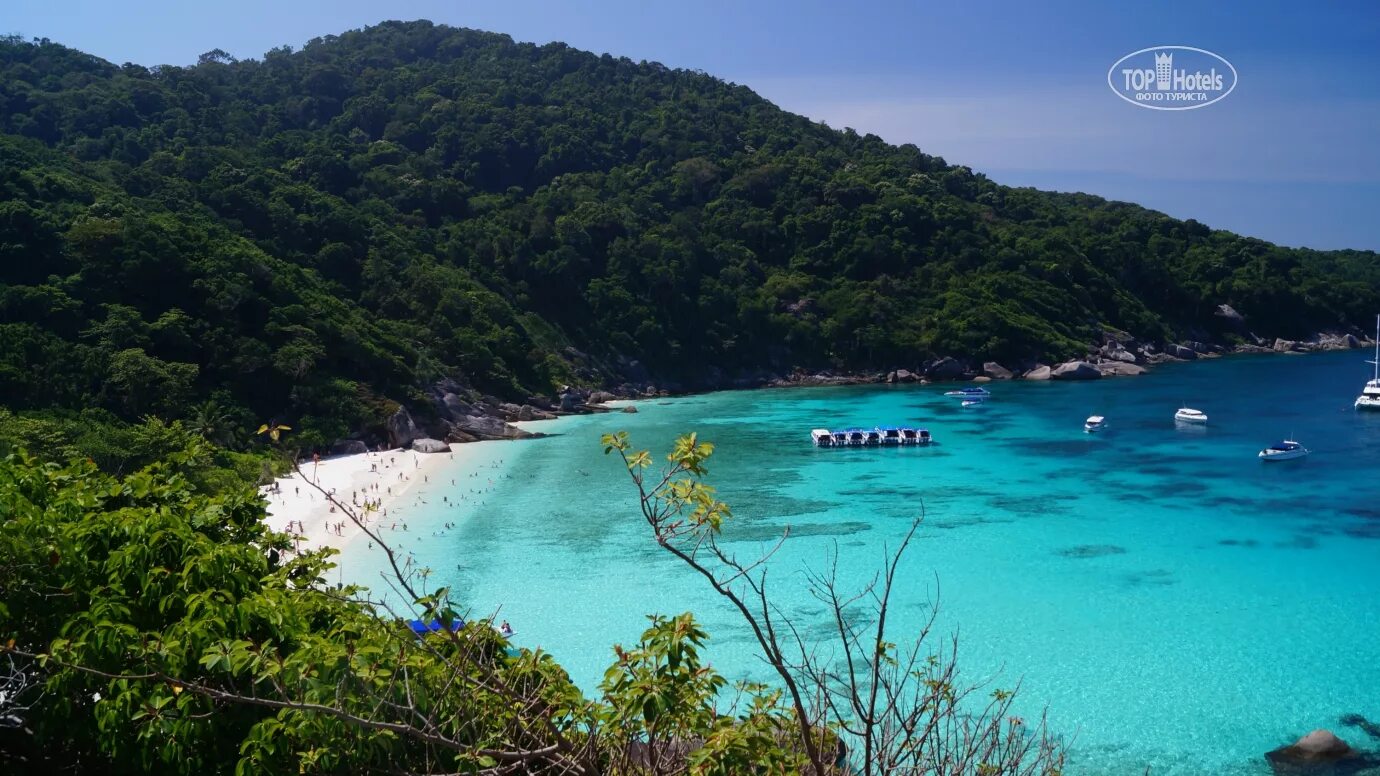 Пляж парадайз фото Федор, 1 марта 2014: отзыв в интернете об отеле HONEY RESORT 3* - туроператор Би