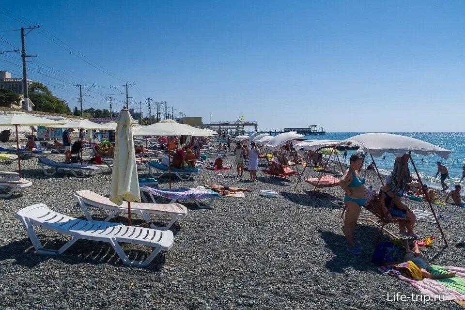 Пляж парус адлер фото После избиения белоруса власти Сочи планируют расторгнуть договор с пользователе