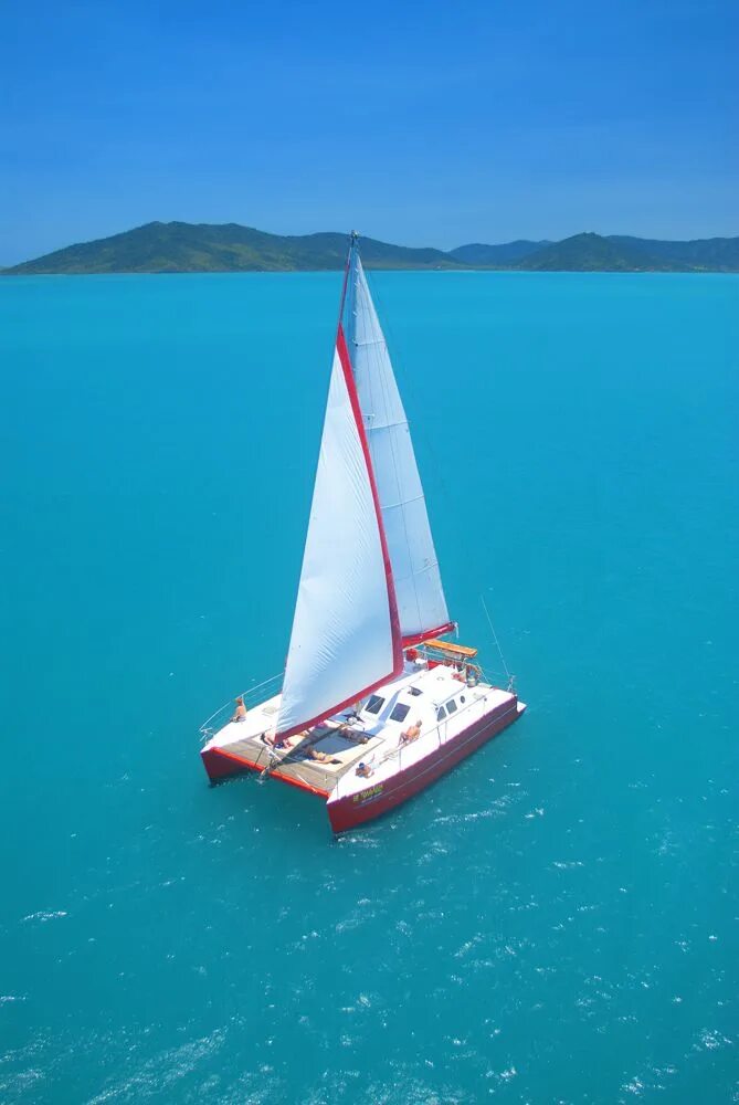 Пляж парус фото Photos - Tongarra Whitsunday Sailing Sailing adventures, Sailing, Sailing catama