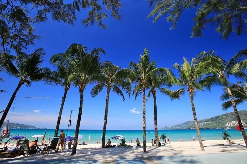 Пляж патонг на пхукете фото Beachfront Hotel for lease in Patong Office & Commercial For Sale Phuket BahtSol