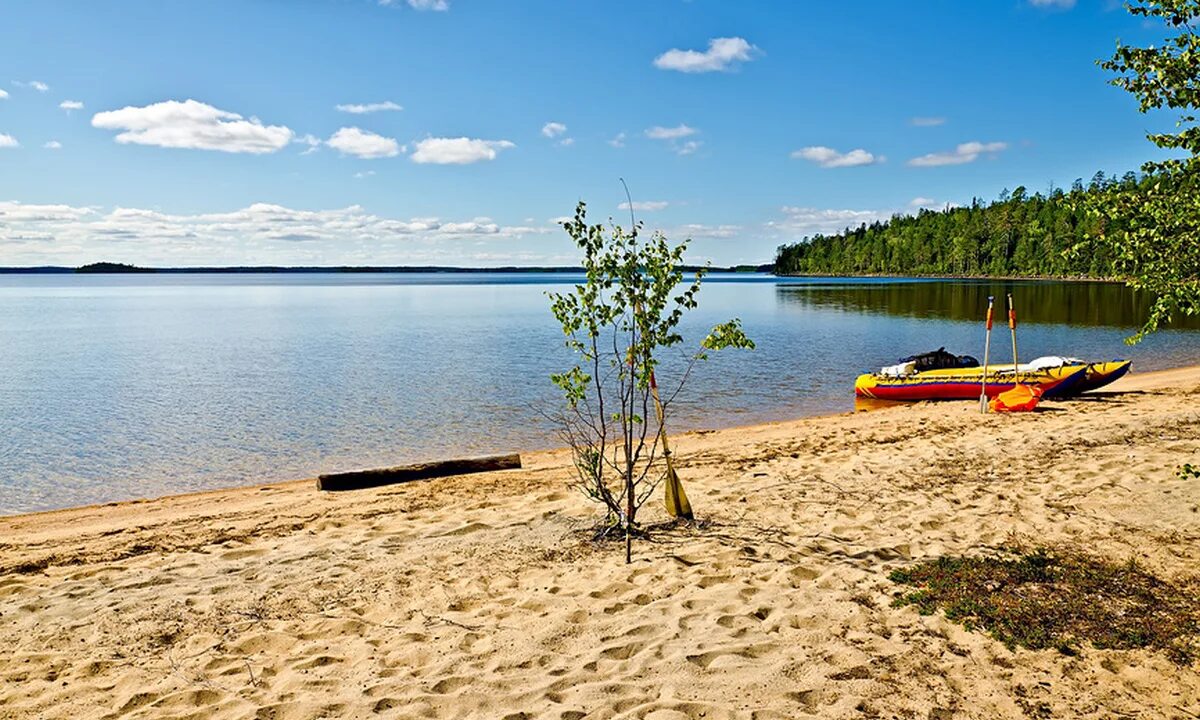 Пляж пески петрозаводск фото республика карелия Названы опасные и безопасные пляжи Карелии Society Seldon News