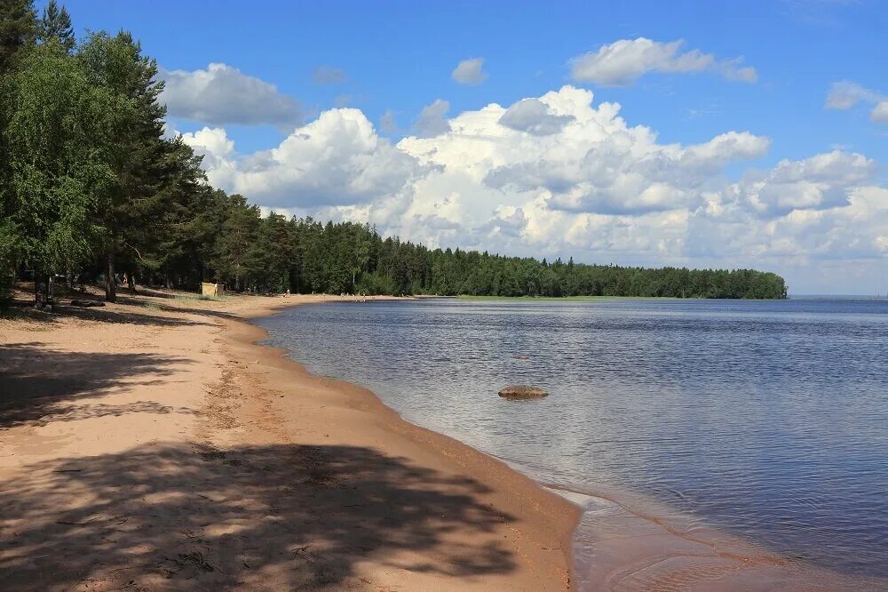 Пляж пески петрозаводск фото республика карелия Пляж на берегу Онежского озера Природа Карелии Дзен