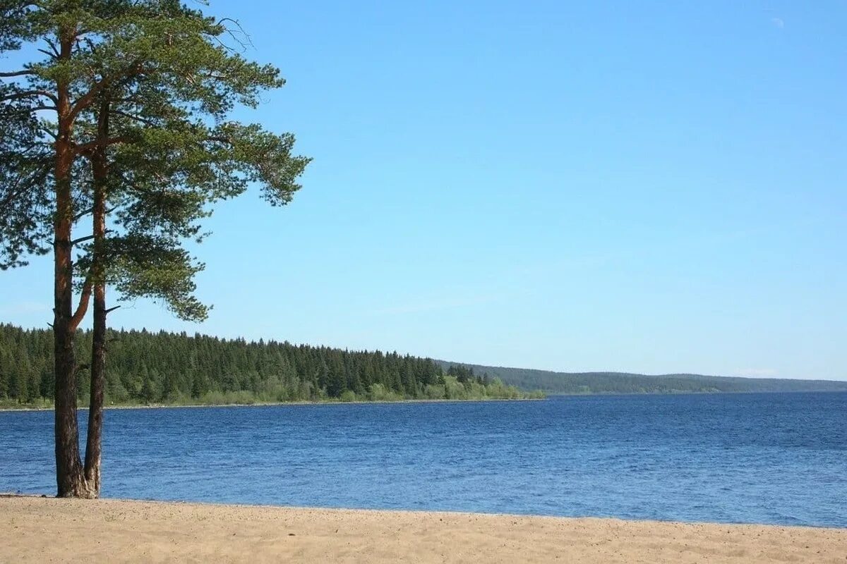 Пляж пески петрозаводск фото республика карелия Жители Петрозаводска очистят пляж "Пески" от мусора - МК Карелия