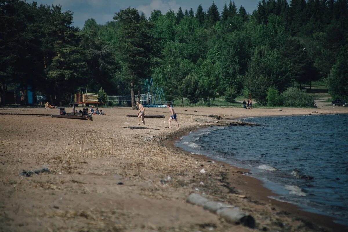 Пляж пески петрозаводск фото республика карелия Вода в местах отдыха в Петрозаводске не соответствует санитарным нормам - "Респу