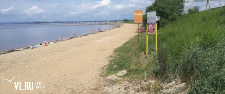 Пляж приморский край владивосток микрорайон седанка фото Пляж Седанка во Владивостоке: Фотогалерея Зеленая планета Фотогалерея природы на