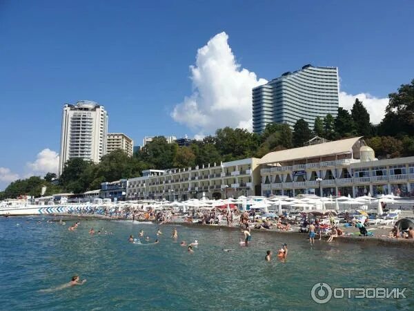 Пляж приморский сочи фото Отзыв о Пляж Приморский (Россия, Сочи) Вы все еще считаете, что в Сочи нет чисто