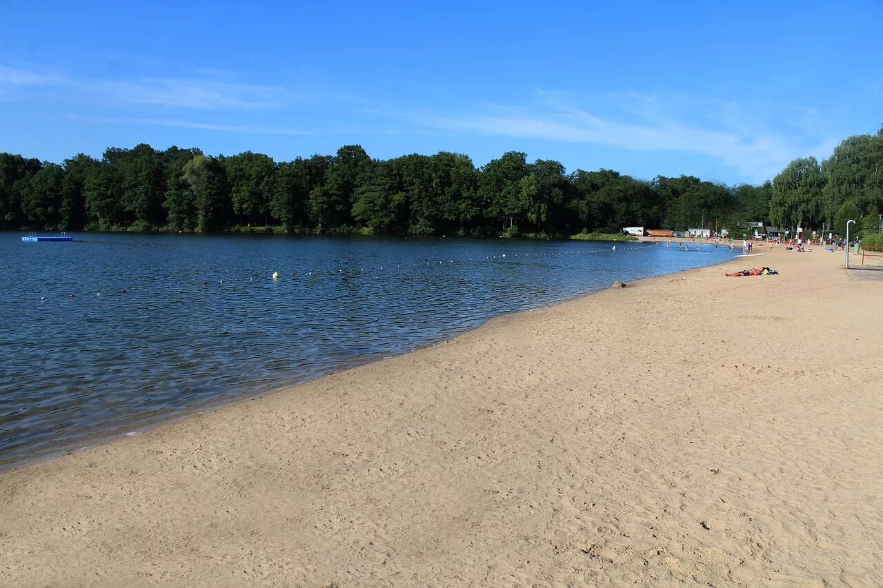 Пляж реки фото Lake,trees,beach,nature,bank - free image from needpix.com