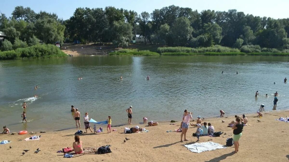 Пляж реки фото Купальный сезон в Курской области откроется 15 июня ГТРК "Курск" - Новости Курск