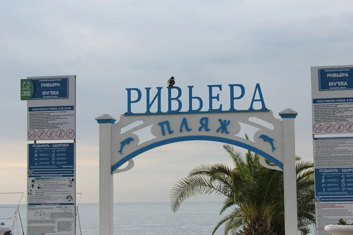 Пляж ривьера фото Ривьера (пляж) - Википедия
