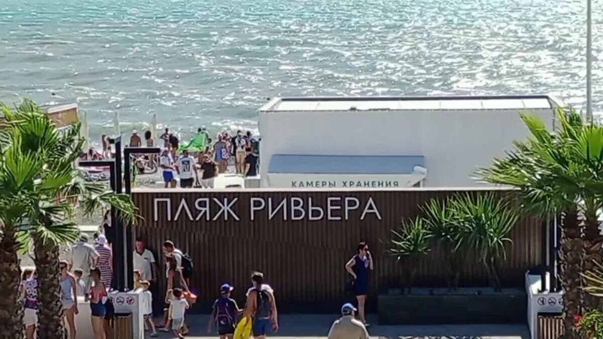 Пляж ривьера сочи фото 2024 Песчаный пляж Ривьера: место для семейного отдыха Зеленая планета Фотогалерея пр