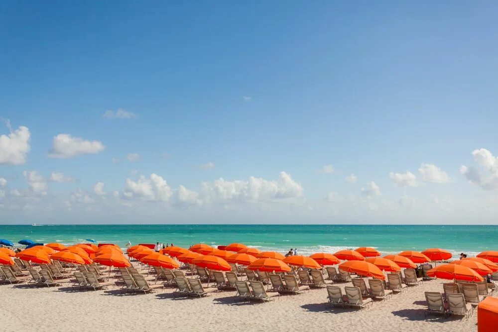 Пляж рыжий фото HEI Hotels + Resorts Hotel and Resort Management South beach hotels, Miami hotel