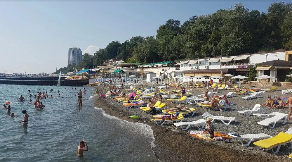 Пляж рыжий сочи фото Светлана Сочи" санаторий 3* Отдыхаем в России! Дзен