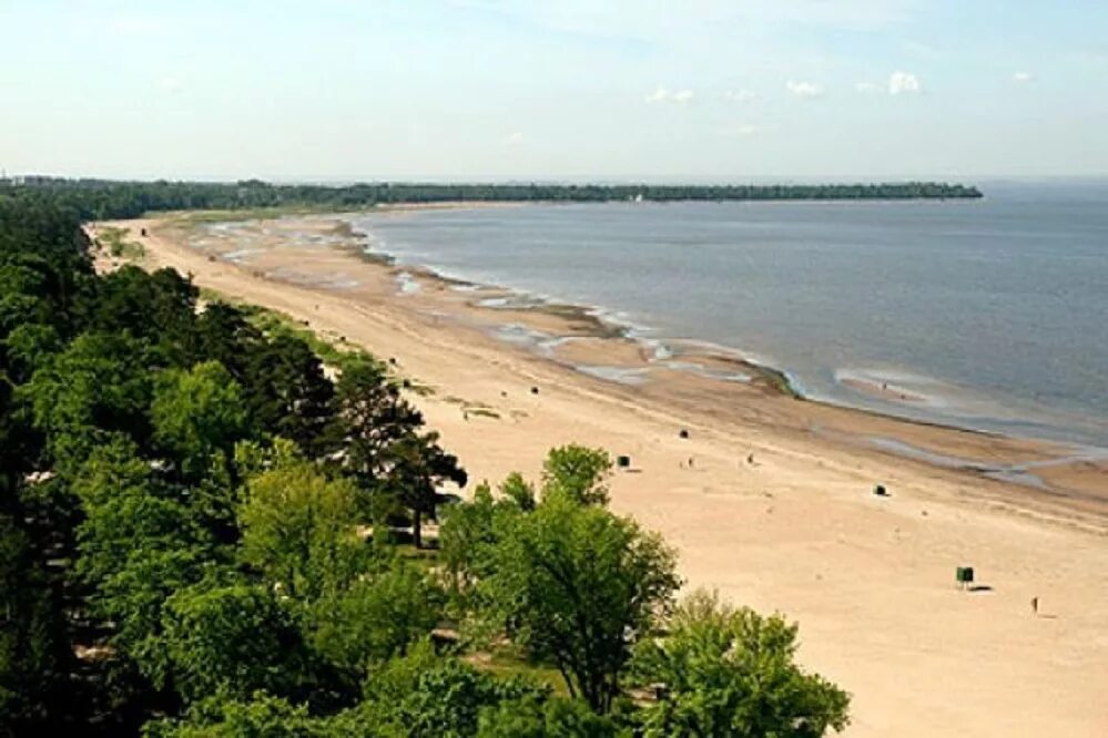 Пляж санкт петербург сестрорецк фото Пляжи в Петербурге, где можно отдохнуть после работы Санкт-Петербург Центр