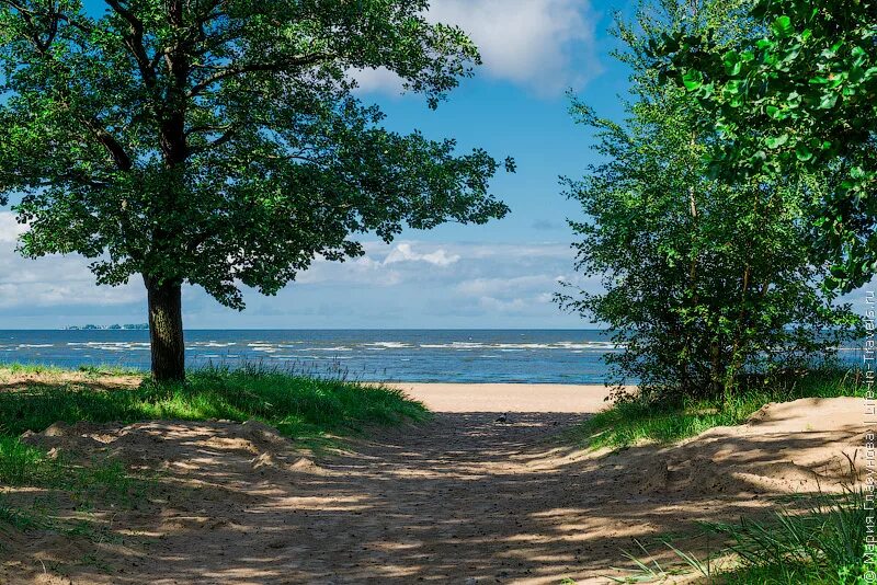 Пляж санкт петербург сестрорецк фото Загородный Клуб "Скандинавия" - выходные в Сестрорецке на берегу Финского залива