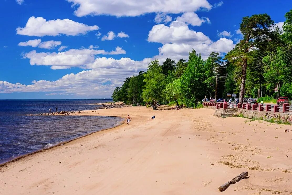 Пляж санкт петербург сестрорецк фото Чистые водоемы и прибрежные зоны Ленобласти благодаря акции "Вода России" - ЛОГК