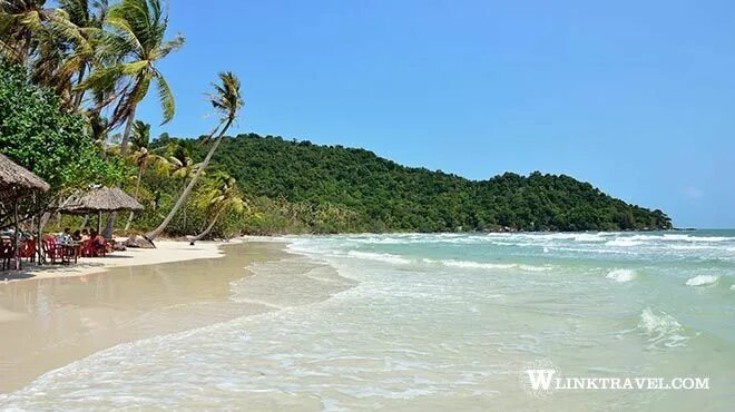 Пляж сао провинция кьензянг остров фукуок фото Coconut trees along Phu Quoc Beach Du lịch, Tours, Việt nam