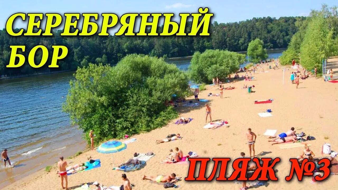 Пляж серебряный фото СЕРЕБРЯНЫЙ БОР - ПЛЯЖ № 3 ГДЕ ИСКУПАТЬСЯ В МОСКВЕ ПЛЯЖИ МОСКВЫ ОТДЫХ В МОСКВЕ - 